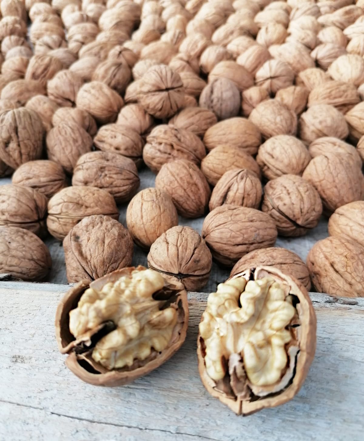 Nuri Baba Kemah Cevizi 5 Kg (2025 Hasat) - Görsel 4