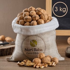 Nuri Baba Kemah Cevizi 3 Kg (2025 Hasat)